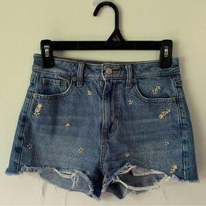 American Eagle Outfitters Embroidered Mom Shorts Medium Wash Size 000